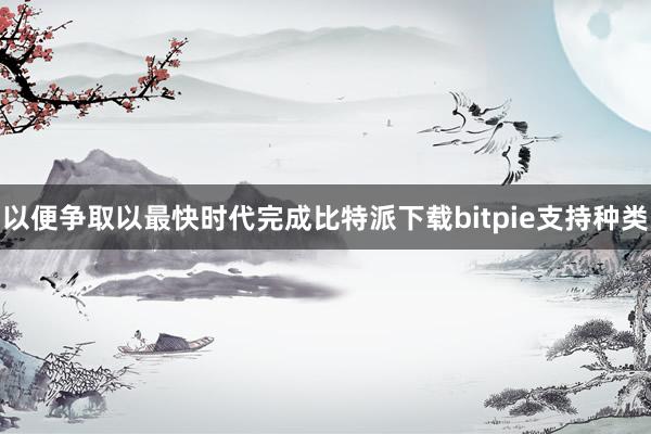 以便争取以最快时代完成比特派下载bitpie支持种类