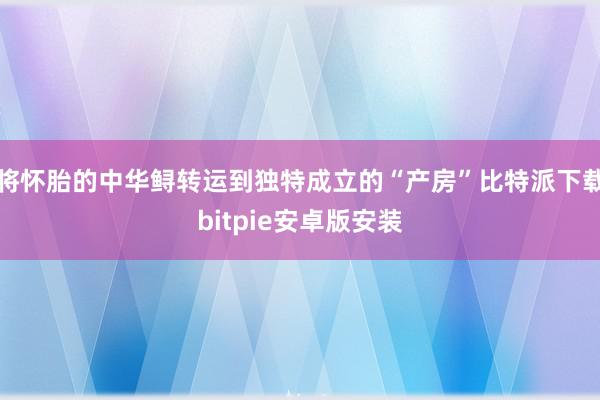 将怀胎的中华鲟转运到独特成立的“产房”比特派下载bitpie安卓版安装