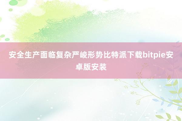 安全生产面临复杂严峻形势比特派下载bitpie安卓版安装