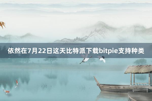 依然在7月22日这天比特派下载bitpie支持种类