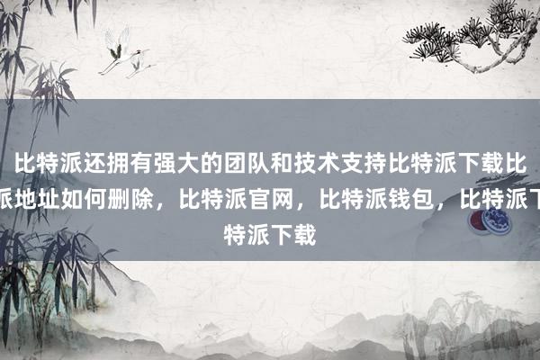 比特派还拥有强大的团队和技术支持比特派下载比特派地址如何删除，比特派官网，比特派钱包，比特派下载