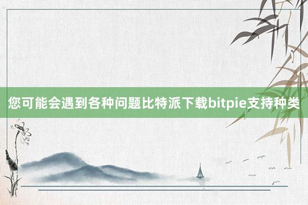 您可能会遇到各种问题比特派下载bitpie支持种类