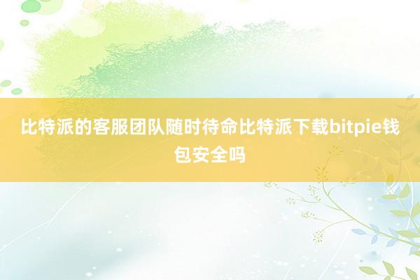 比特派的客服团队随时待命比特派下载bitpie钱包安全吗