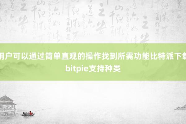 用户可以通过简单直观的操作找到所需功能比特派下载bitpie支持种类