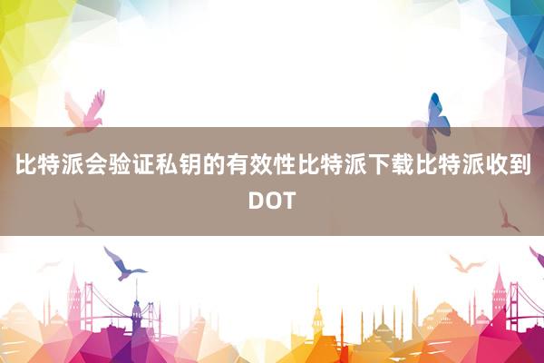 比特派会验证私钥的有效性比特派下载比特派收到DOT