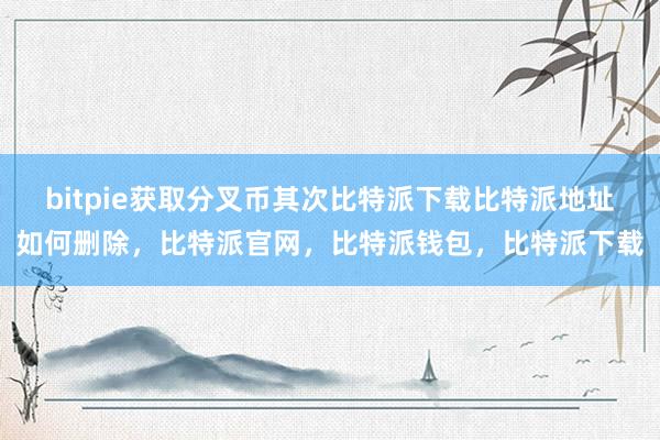 bitpie获取分叉币其次比特派下载比特派地址如何删除，比特派官网，比特派钱包，比特派下载