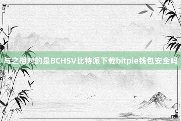 与之相对的是BCHSV比特派下载bitpie钱包安全吗