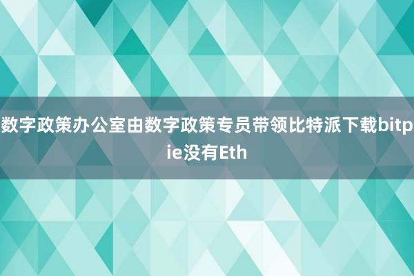 数字政策办公室由数字政策专员带领比特派下载bitpie没有Eth