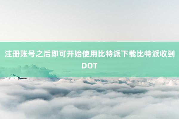 注册账号之后即可开始使用比特派下载比特派收到DOT