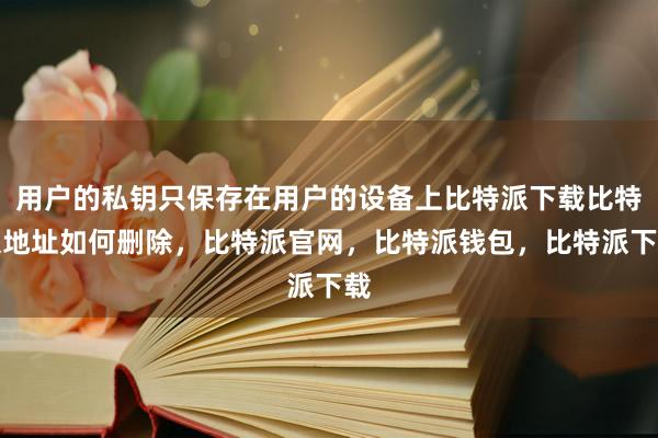 用户的私钥只保存在用户的设备上比特派下载比特派地址如何删除，比特派官网，比特派钱包，比特派下载