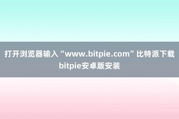 打开浏览器输入“www.bitpie.com”比特派下载bitpie安卓版安装