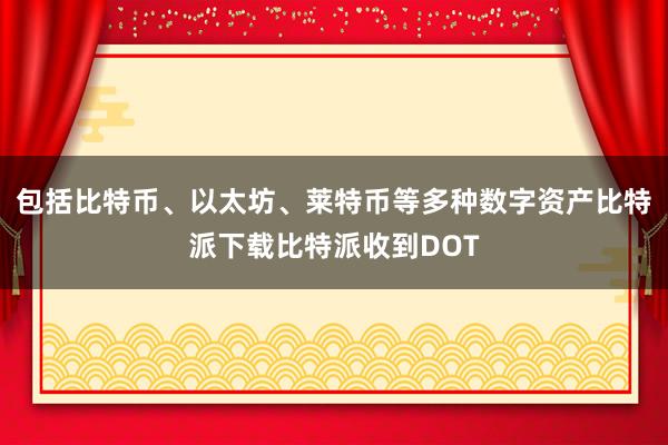 包括比特币、以太坊、莱特币等多种数字资产比特派下载比特派收到DOT