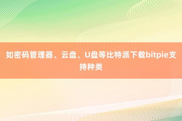 如密码管理器、云盘、U盘等比特派下载bitpie支持种类