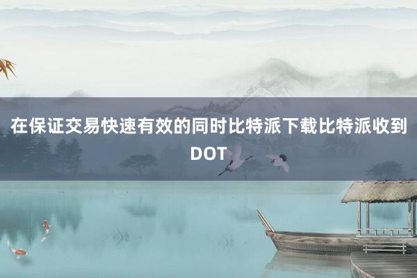 在保证交易快速有效的同时比特派下载比特派收到DOT