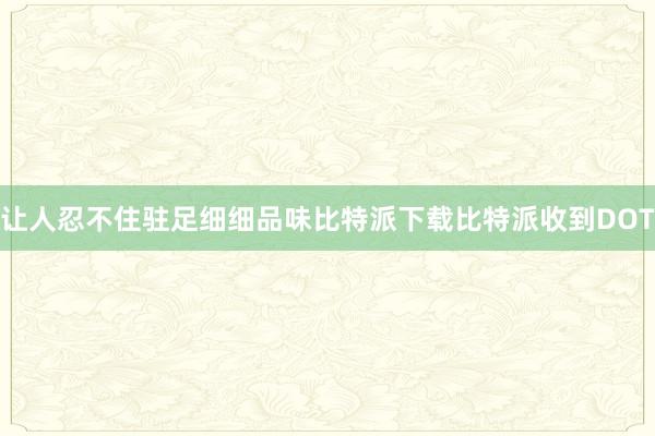 让人忍不住驻足细细品味比特派下载比特派收到DOT