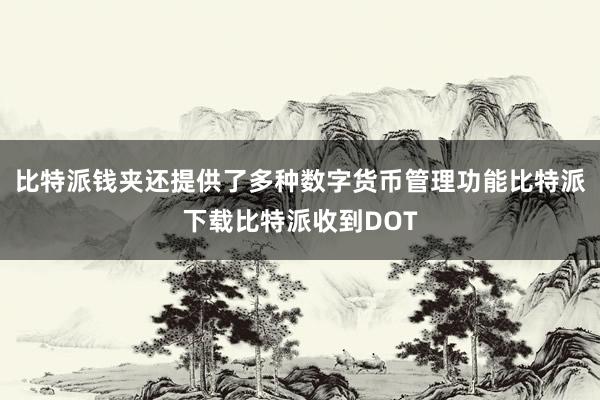 比特派钱夹还提供了多种数字货币管理功能比特派下载比特派收到DOT