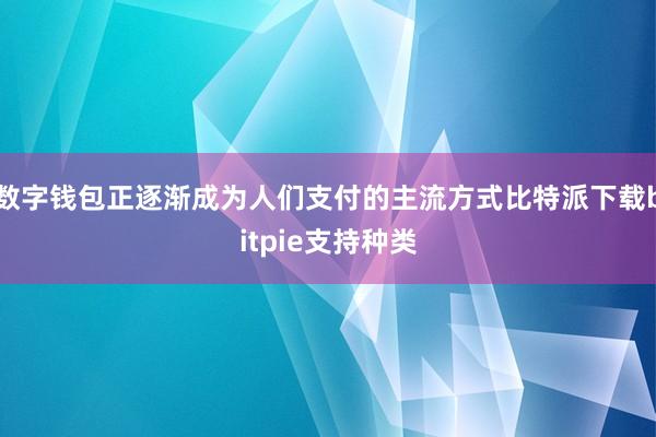 数字钱包正逐渐成为人们支付的主流方式比特派下载bitpie支持种类