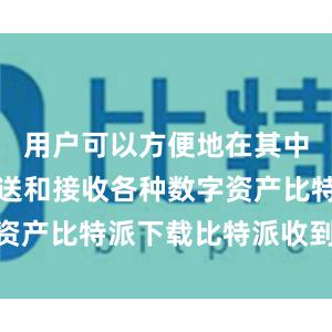 用户可以方便地在其中存储、发送和接收各种数字资产比特派下载比特派收到DOT