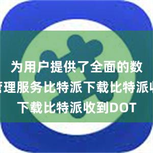 为用户提供了全面的数字资产管理服务比特派下载比特派收到DOT