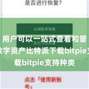 用户可以一站式查看和管理各种数字资产比特派下载bitpie支持种类