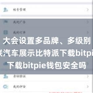 大会设置多品牌、多级别智能网联汽车展示比特派下载bitpie钱包安全吗