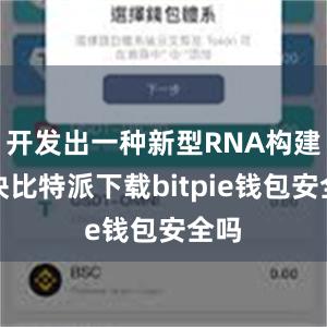 开发出一种新型RNA构建模块比特派下载bitpie钱包安全吗