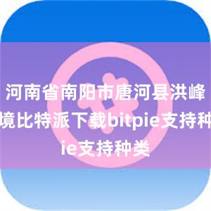 河南省南阳市唐河县洪峰过境比特派下载bitpie支持种类