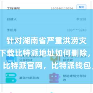 针对湖南省严重洪涝灾害比特派下载比特派地址如何删除，比特派官网，比特派钱包，比特派下载