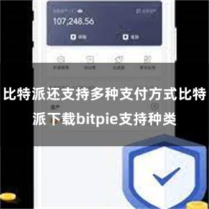 比特派还支持多种支付方式比特派下载bitpie支持种类