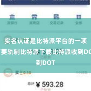 实名认证是比特派平台的一项首要轨制比特派下载比特派收到DOT