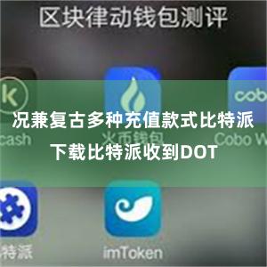 况兼复古多种充值款式比特派下载比特派收到DOT