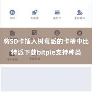 将SD卡插入树莓派的卡槽中比特派下载bitpie支持种类